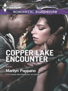 Cover image for Copper Lake Encounter